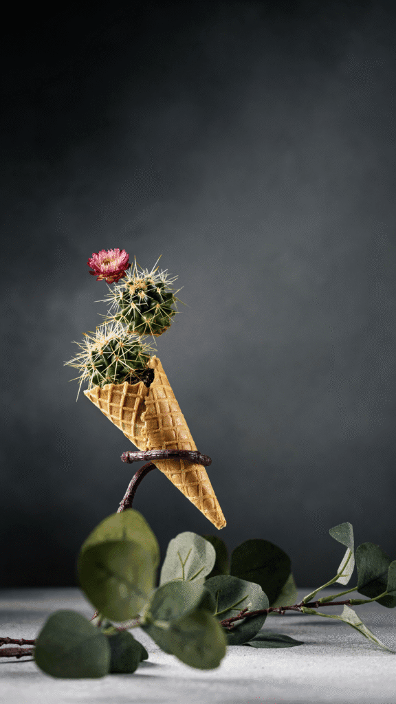 Fotografia jedzenia w ciemnej tonacji — sesja kulinarna Wrocław