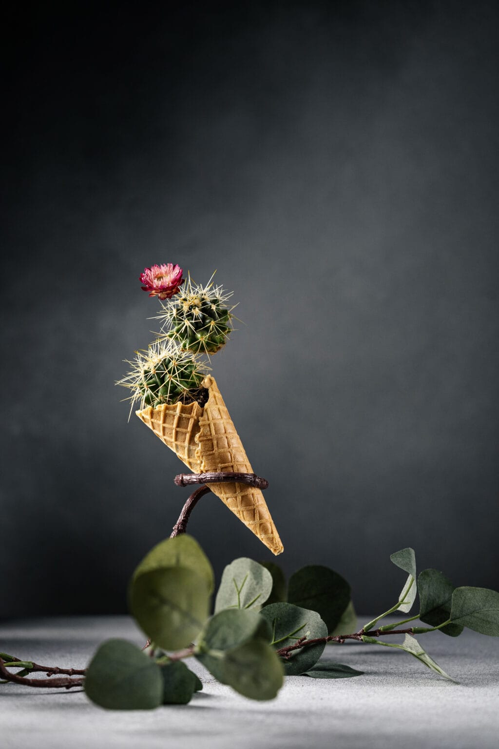 Kreatywna fotografia kulinarna — przykład realizacji Wrocław #5