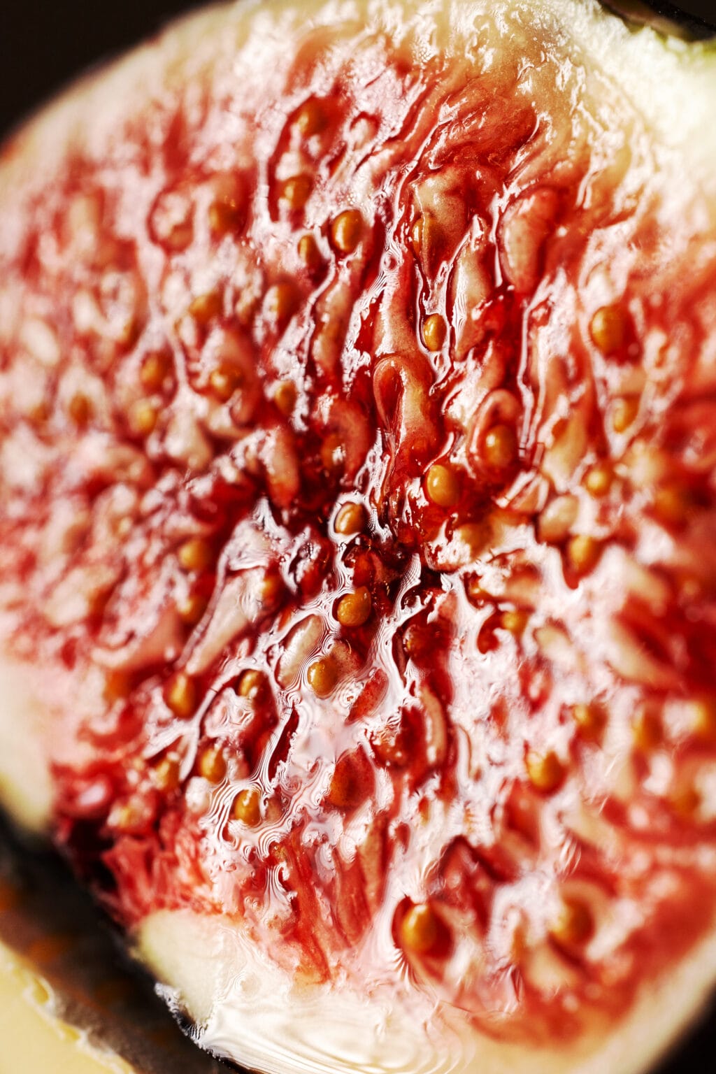 Fotografia składników i produktów spożywczych Wrocław #10