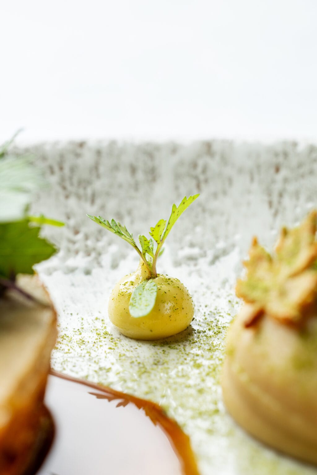 Profesjonalne zdjęcie dania — fotograf kulinarny Wrocław #40